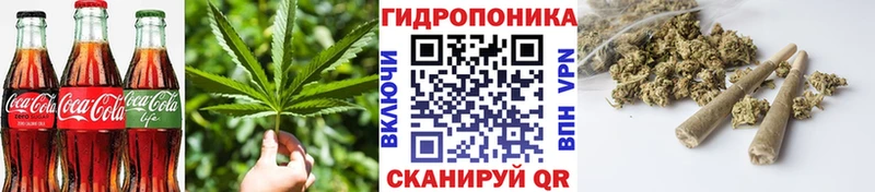 Canna-Cookies конопля  МЕГА ссылка  Егорьевск 
