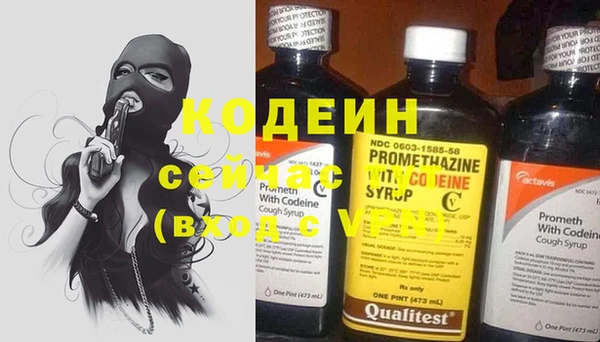 шишки Абаза