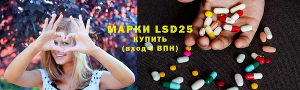 шишки Ельня