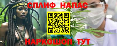 шишки Моздок