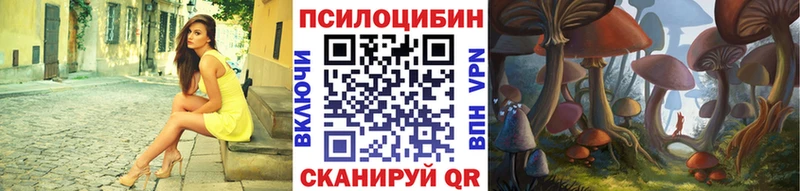 Галлюциногенные грибы MAGIC MUSHROOMS  MEGA зеркало  Егорьевск  дарнет шоп 