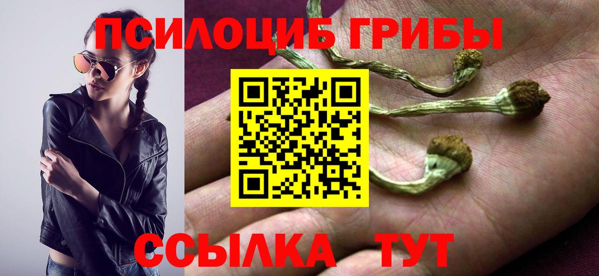 Егорьевск  Псилоцибиновые грибы мицелий  Вход с VPN 