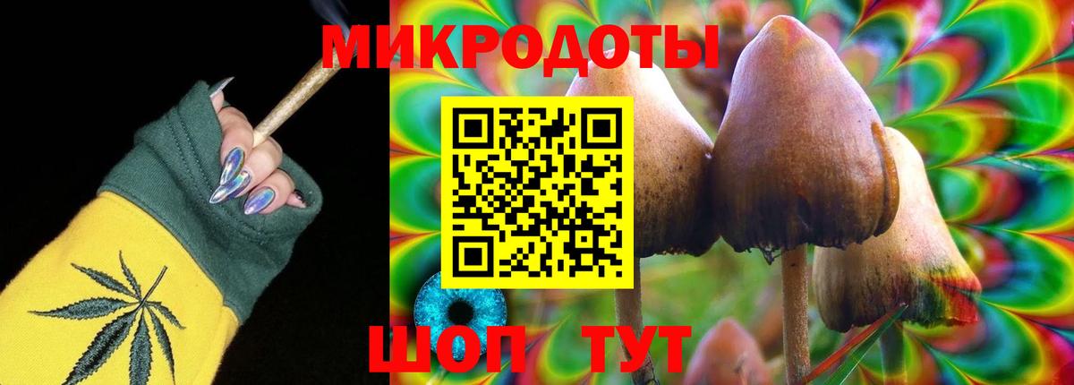 Галлюциногенные грибы GOLDEN TEACHER Егорьевск
