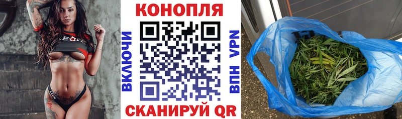 площадка состав  Егорьевск  Каннабис план  сколько стоит 